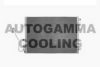 AUTOGAMMA 103232 Condenser, air conditioning